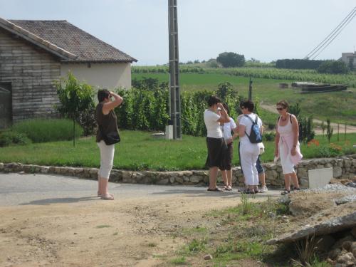 FILE-211